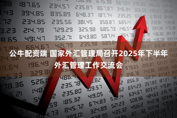 公牛配资端 国家外汇管理局召开2025年下半年外汇管理工作交流会