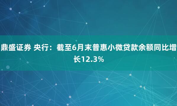 鼎盛证券 央行：截至6月末普惠小微贷款余额同比增长12.3%