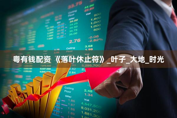 粤有钱配资 《落叶休止符》_叶子_大地_时光