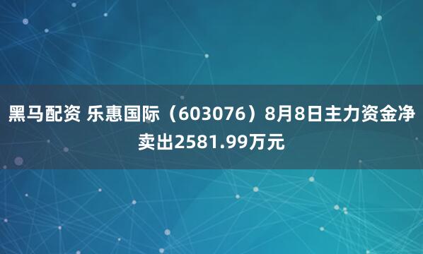 黑马配资 乐惠国际（603076）8月8日主力资金净卖出2581.99万元