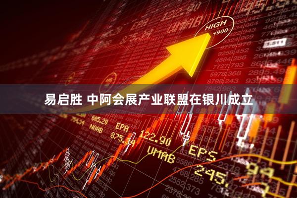 易启胜 中阿会展产业联盟在银川成立