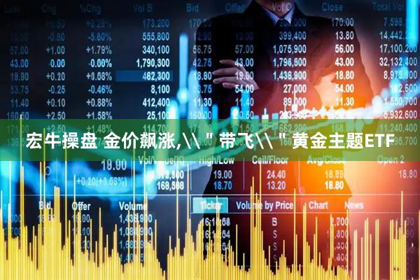 宏牛操盘 金价飙涨,\＂带飞\＂黄金主题ETF